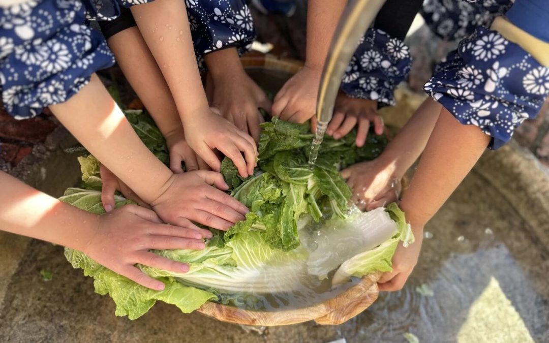 From the Ground to the Table: The EC Farm Adventure!