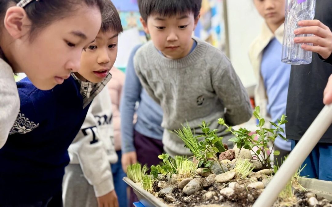 Our Grade 5 Scientists