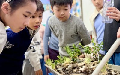 Our Grade 5 Scientists