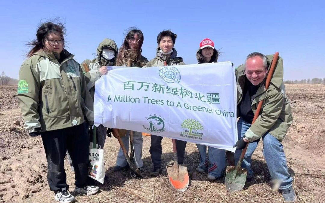Million Tree Project